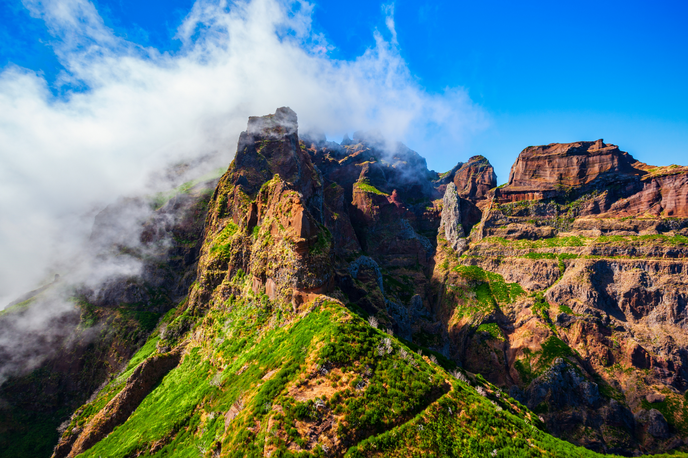 138 pico island.webp